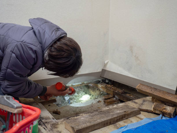 Best Comprehensive Air Testing for Mold Contaminants  in Dalzell, SC