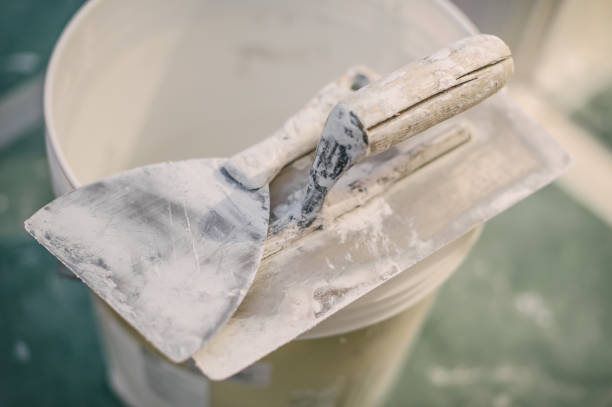 Best Commercial Mold Inspection  in Dalzell, SC